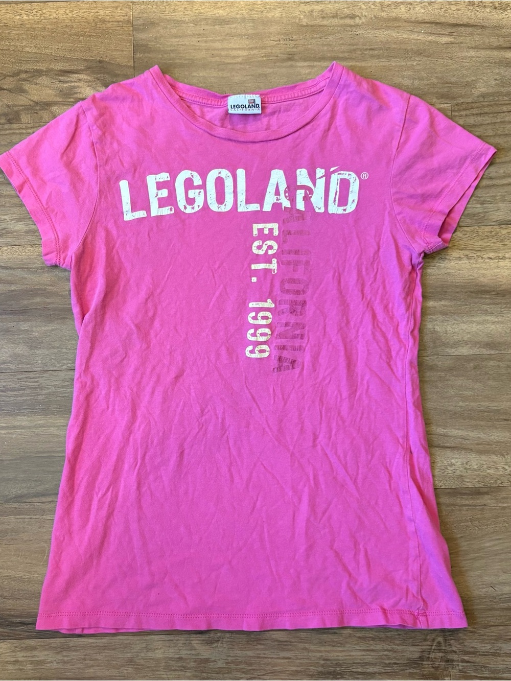 2009 Lego Land Graphic Tee